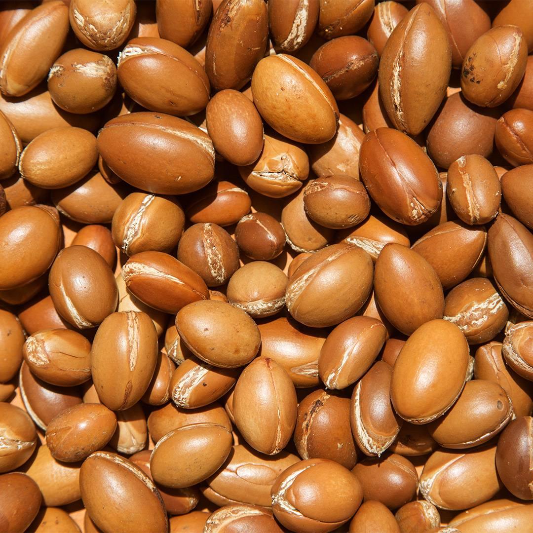 Huile d'argan, actif nourrissant Aurodhea