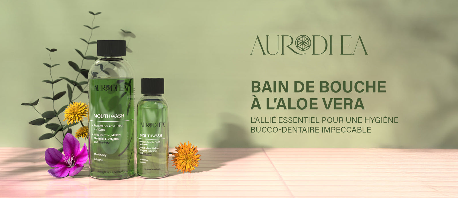 Bain de bouche à l’Aloe Vera Aurodhea