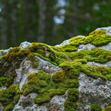 Parfum Chogan 164 Unfold homme – visuel de présentation